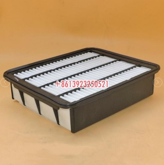 Case Air Filter